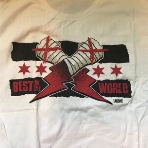 Hanes White Graphic Tee - Best in the World